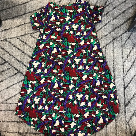 ✨5/$25 LuLaRoe Carly Dress - Picture 3 of 4